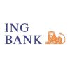 ing-logo